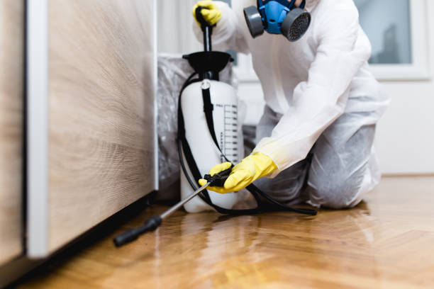 Best Termite Control Services  in Holly Springs, GA