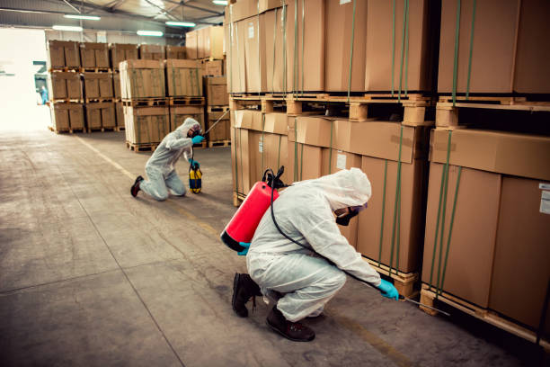 Best Local Pest Control Services  in Holly Springs, GA