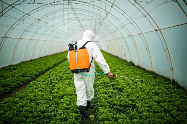 Best Pest Prevention Services  in Holly Springs, GA