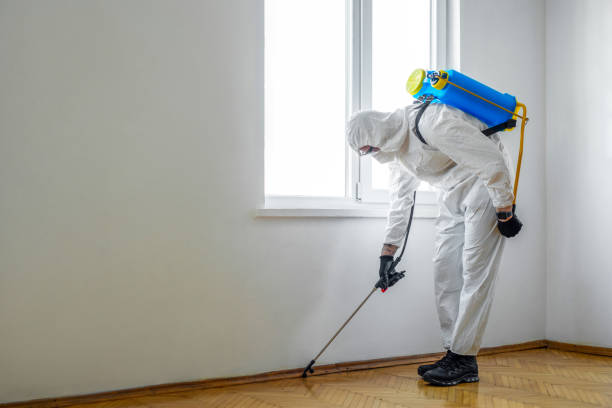 Holly Springs, GA Pest Control Company