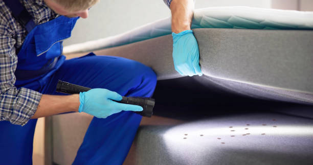 Best Flea Control Services  in Holly Springs, GA