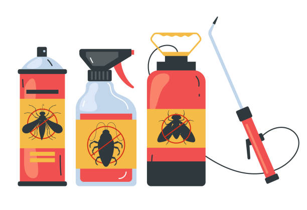 Best Wasp Removal Services  in Holly Springs, GA