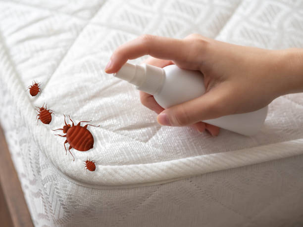 Best Best Pest Control Companies  in Holly Springs, GA