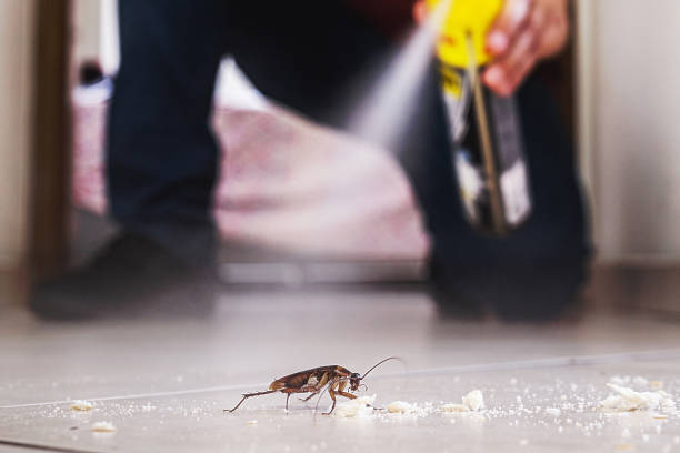 Best Mosquito Control Services  in Holly Springs, GA
