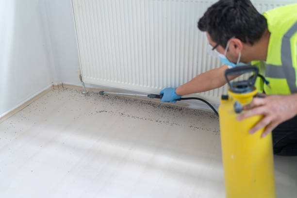 Best Emergency Pest Control  in Holly Springs, GA