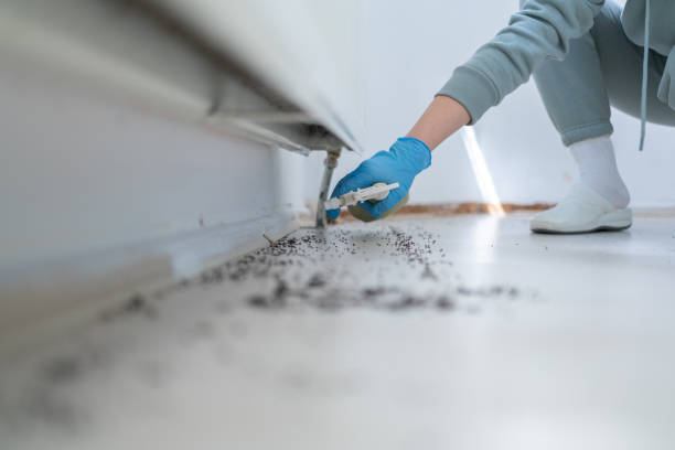 Best Best Pest Control Near Me  in Holly Springs, GA