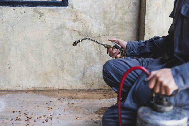 Best Best Pest Control Companies  in Holly Springs, GA